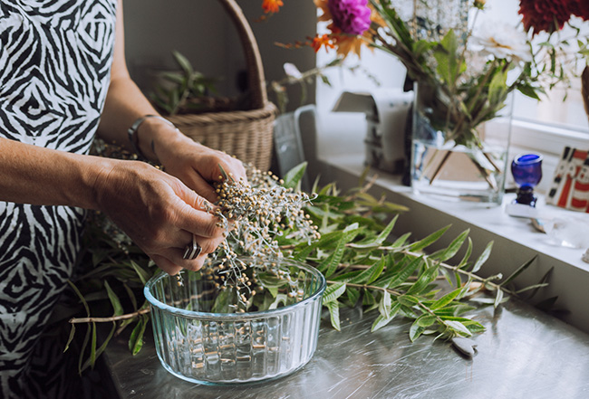 Moonrise Photography Cornwall - Heartfelt Herbs-89