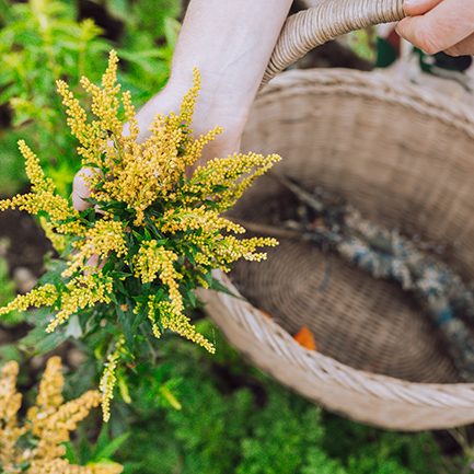 Moonrise Photography Cornwall - Heartfelt Herbs-33